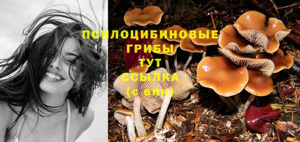 таблы Алзамай