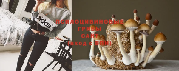соль курить ск Абаза