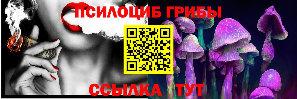 Галлюциногенные грибы прущие грибы Ярославль
