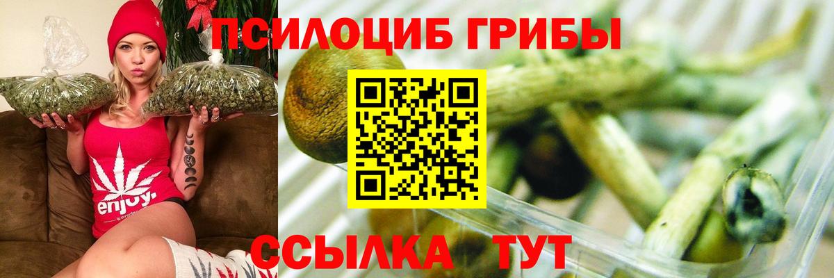 Меф  ГАШ  МАРИХУАНА  Вход с VPN  A PVP СОЛЬ   КОКАИН  Вейп ТГК  Ярославль  Гашиш  Мефедрон   Каннабис  Экстази 